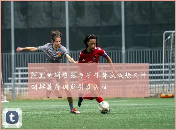 阿里纳斯透露与字母哥交流热火计划招募詹姆斯引发关注