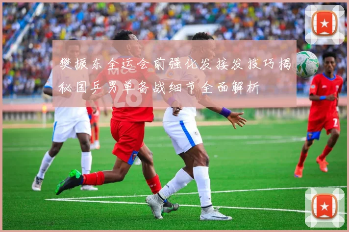 樊振东全运会前强化发接发技巧揭秘国乒男单备战细节全面解析